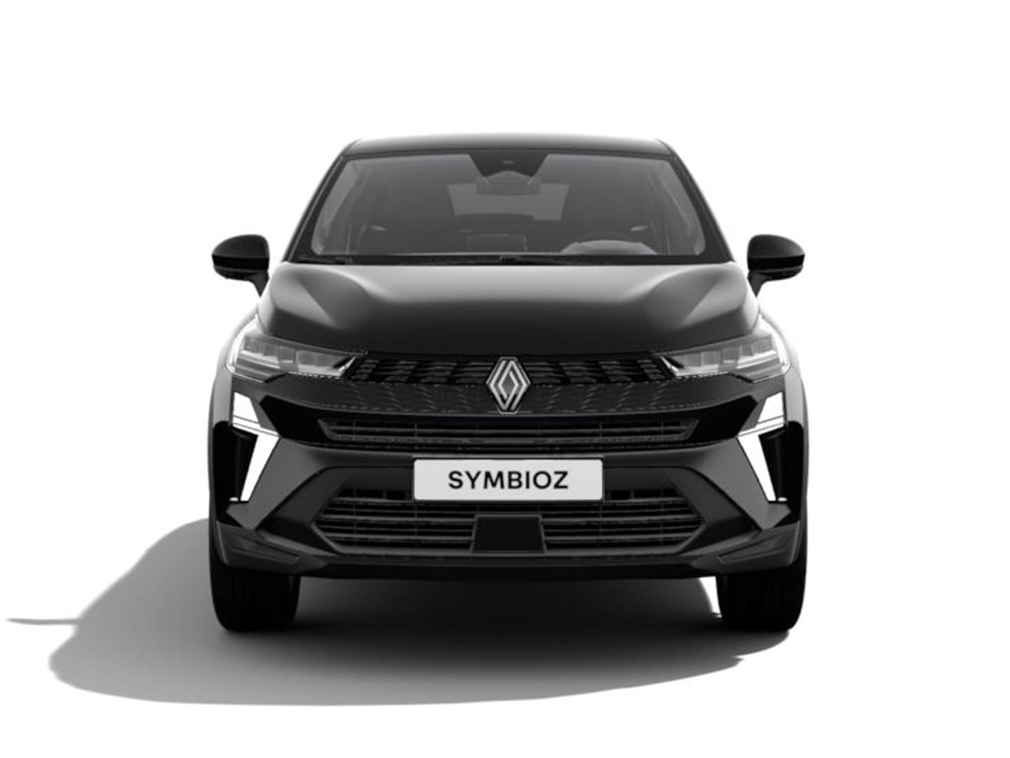Renault Symbioz 3173