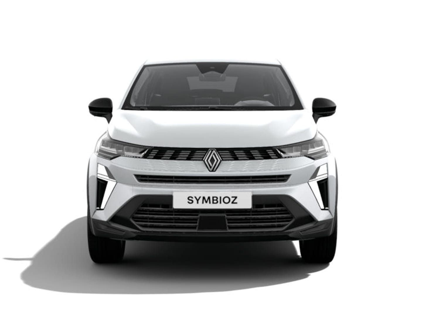 Renault Symbioz 3173