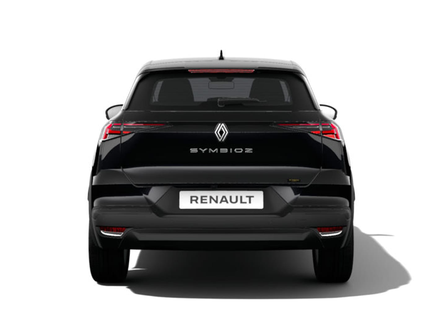 Renault Symbioz 3173