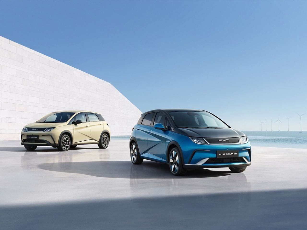 Zwei BYD Dolphin Elektrofahrzeuge in Blau und Beige stehen auf einer offenen Fläche am Meer, im Hintergrund sind Windräder zu sehen. Die Szene vermittelt moderne Elektromobilität in ruhiger, nachhaltiger Küstenumgebung.
