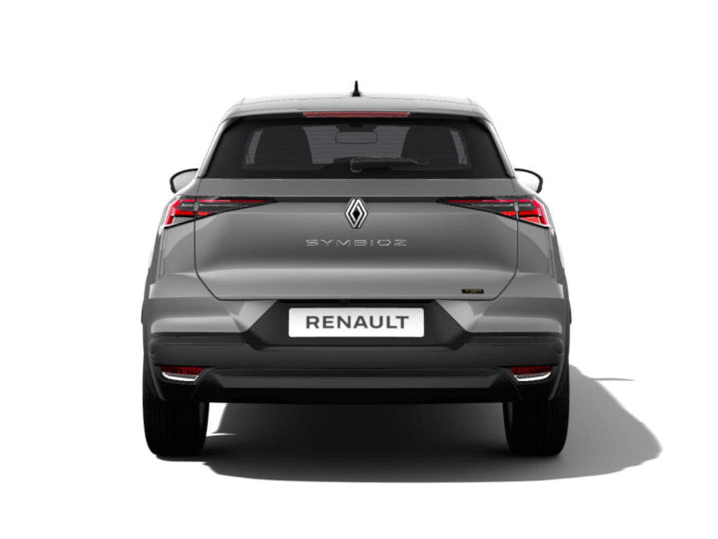 Renault Symbioz 3173