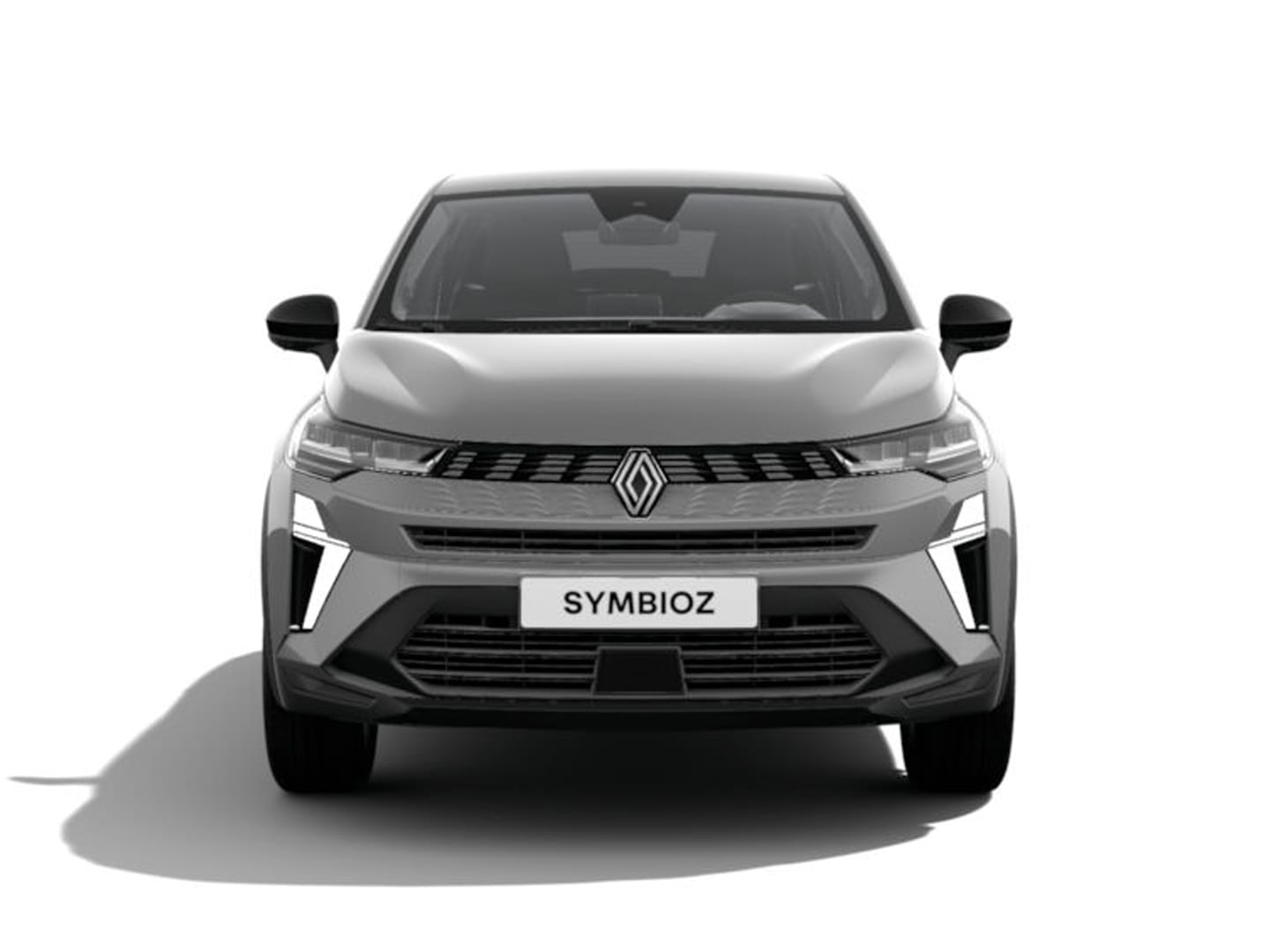 Renault Symbioz 3173
